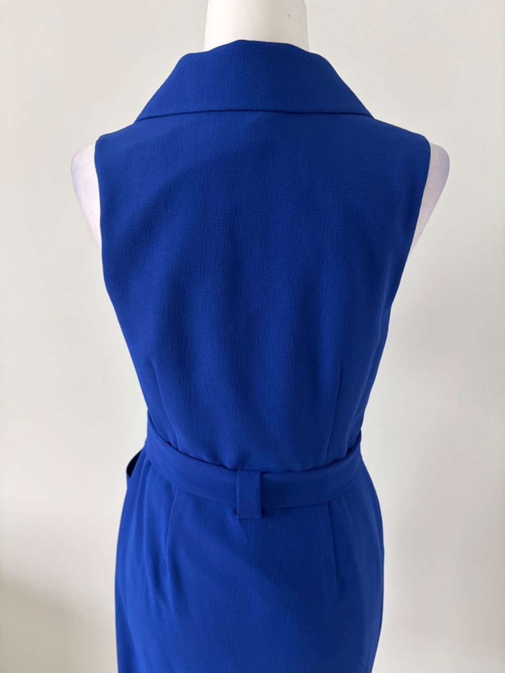 The Limited Cobalt Blue Sleeveless Dress - Picture 5 of 6